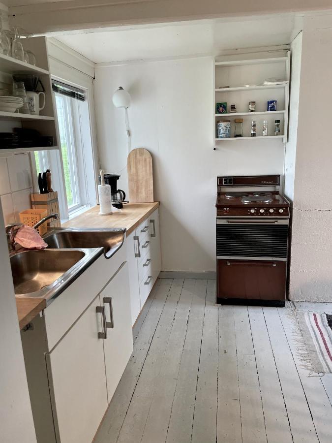 Grandmothers Cosy Farmhouse Fredvang 外观 照片